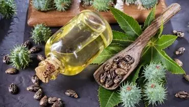 آیا این روغن به لاغری و کاهش وزن کمک میکند؟