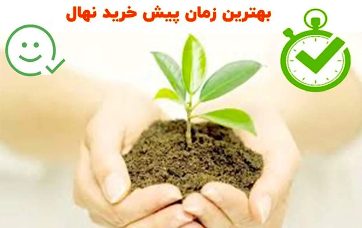 نهال میوه در دورههای تخفیف: بهترین زمان برای خرید نهال با قیمت ارزان