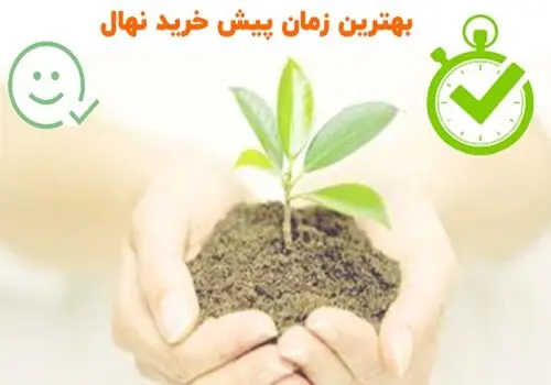 بهترین روش برای از بین بردن جای زخم‌