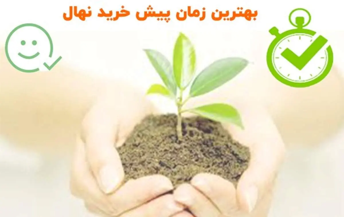 نهال میوه در دوره‌های تخفیف: بهترین زمان برای خرید نهال با قیمت ارزان

