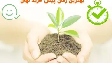 نهال میوه در دوره‌های تخفیف: بهترین زمان برای خرید نهال با قیمت ارزان

