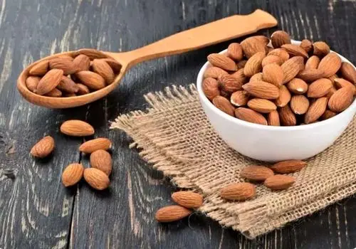 اختلاف قیمت اقلام خوراکی در میادین شهرداری با بازار چقدر است؟