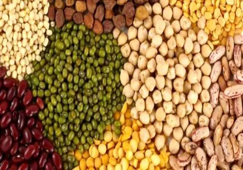 یک کیلو عدس برای چند نفر عدسی می‌دهد؟
