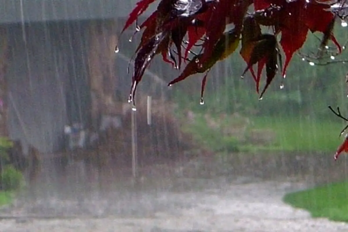 بارش باران در اغلب مناطق کشور / کاهش محسوس دما در نیمه شمالی