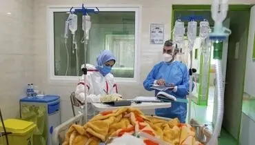 کرونا هفت خانواده دیگر کرمانشاهی را داغدار کرد