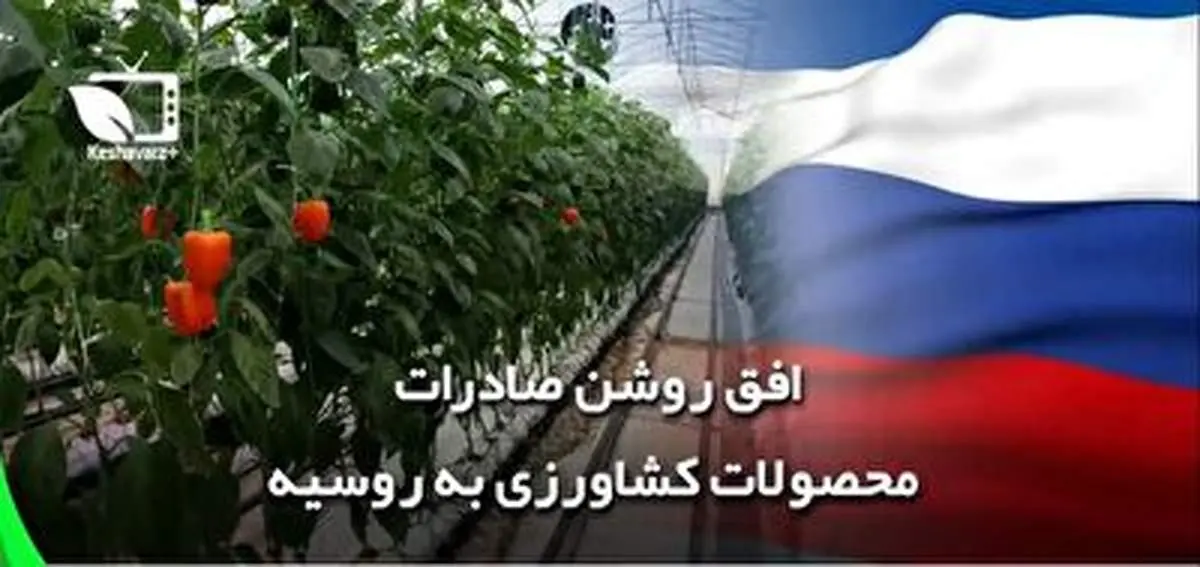 افق روشن پیش روی صادرکنندگان محصولات کشاورزی + فیلم