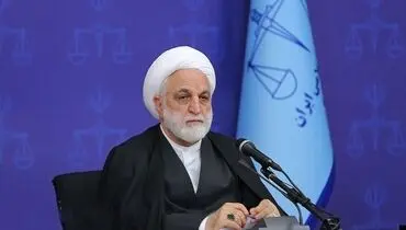 اژه ای: برخی قوانین ناظر بر امور ایثارگران به‌طور کامل اجرا نشده است