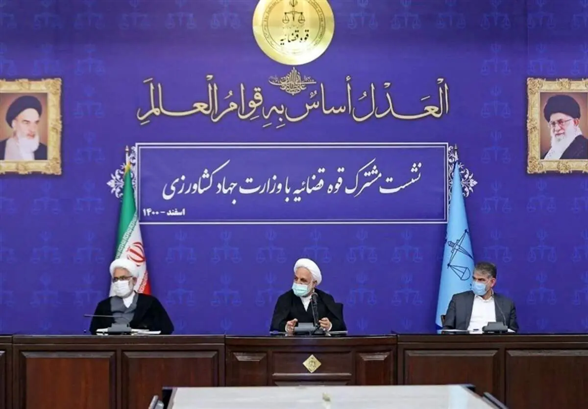 ماجرای یک خسارت دیگر به سرمایه های مردم: کاشت ۲۰ هزار هکتار نهال زیتون معیوب! + فیلم
