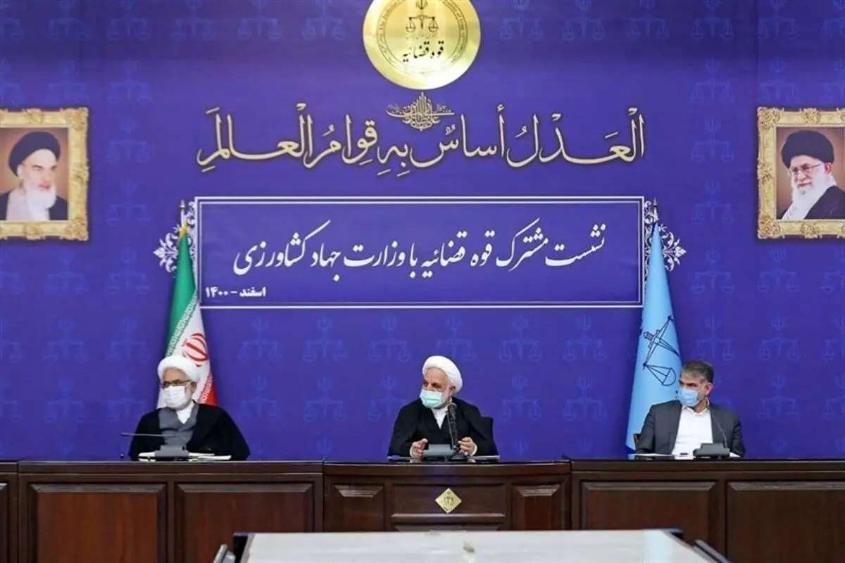 ماجرای یک خسارت دیگر به سرمایه های مردم: کاشت ۲۰ هزار هکتار نهال زیتون معیوب! + فیلم
