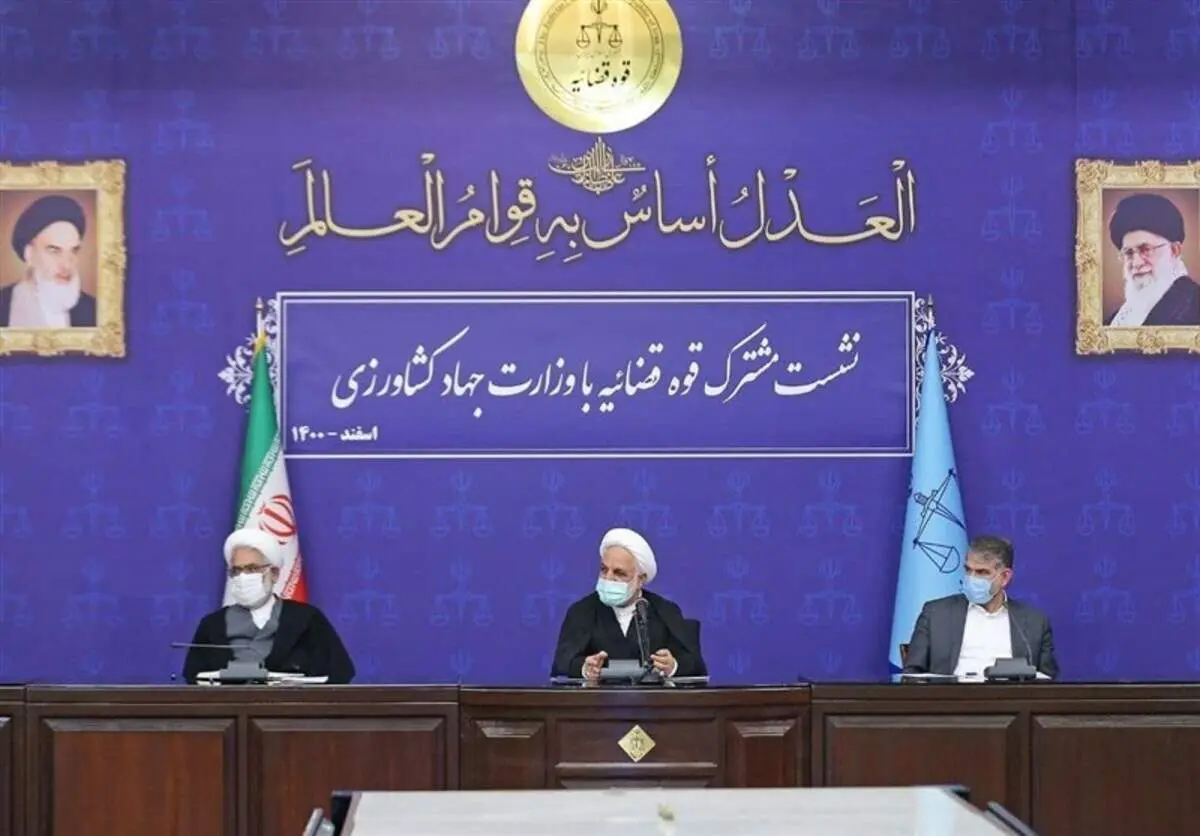 ماجرای یک خسارت دیگر به سرمایه های مردم: کاشت ۲۰ هزار هکتار نهال زیتون معیوب! + فیلم