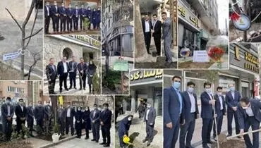 هر شعبه بانک پاسارگاد، نهالی تازه به طبیعت هدیه داد