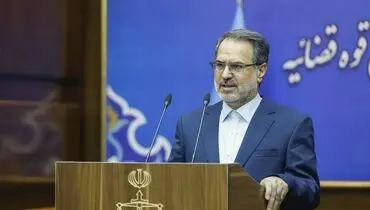 سخنگوی قوه قضاییه: تخلف گرانفروشی در صلاحیت سازمان تعزیرات است
