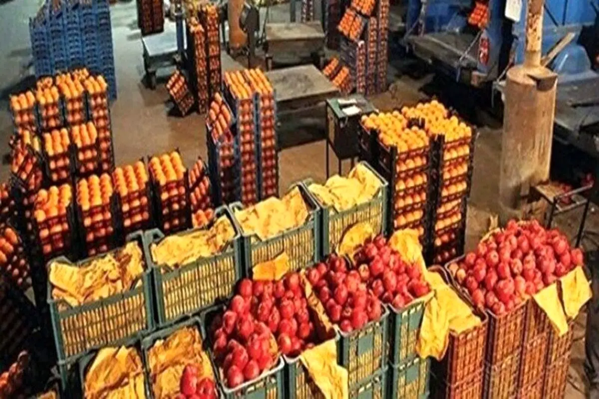 پنج هزارتن میوه و ۱۴ هزارتن مرغ برای شب عید تهران ذخیره‌ شد