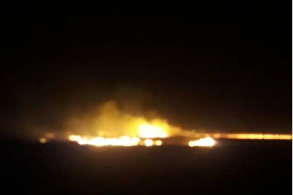 آتش سوزی در تالاب گندمان+فیلم
