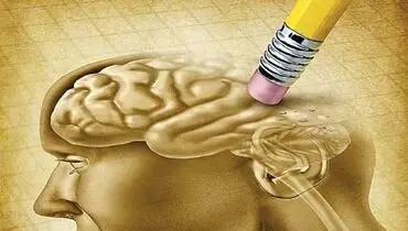 عاملی که زنان را دچار زوال عقل می‌کند