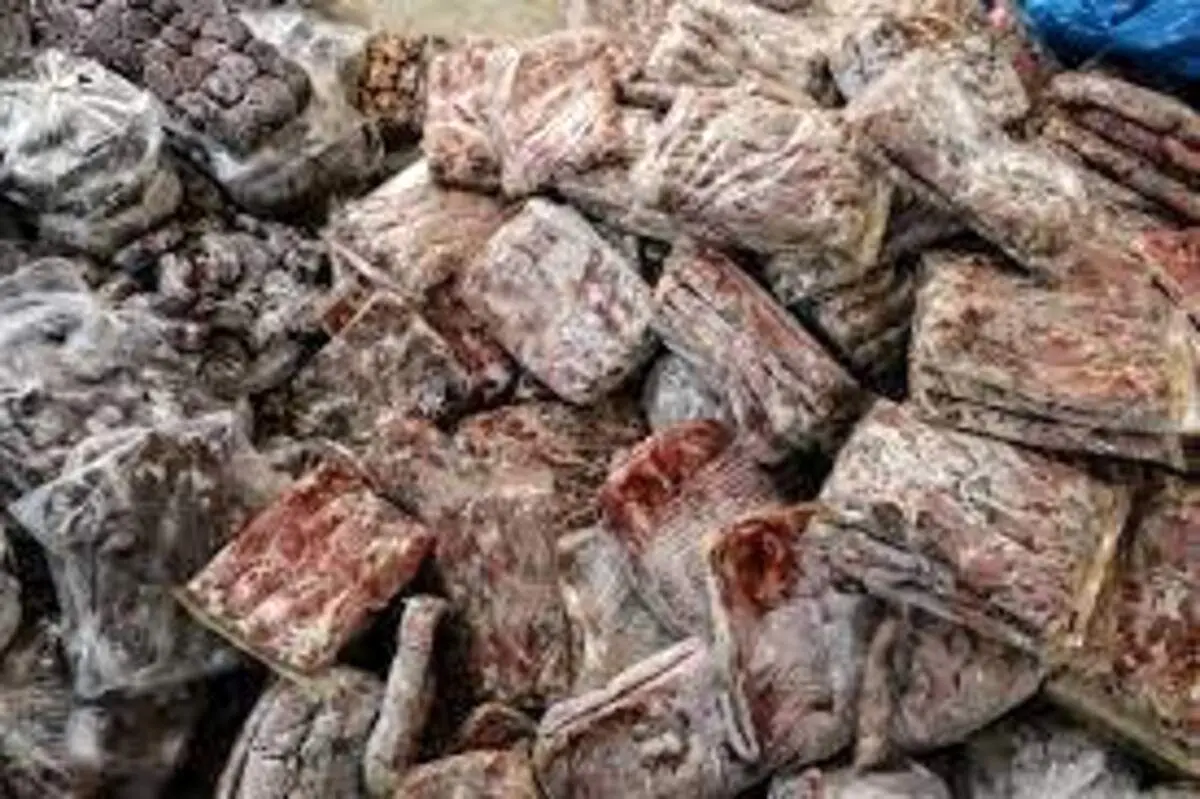 نگهداری غیراستاندارد صدهاکیلو گوشت و مرغ در یکی از رستورانهای معروف تهران + فیلم