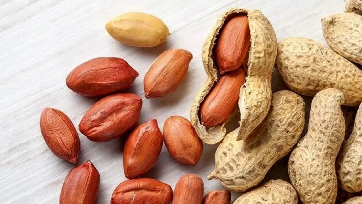 شناسایی درمانی جدید برای مقابله با آلرژی به بادام زمینی