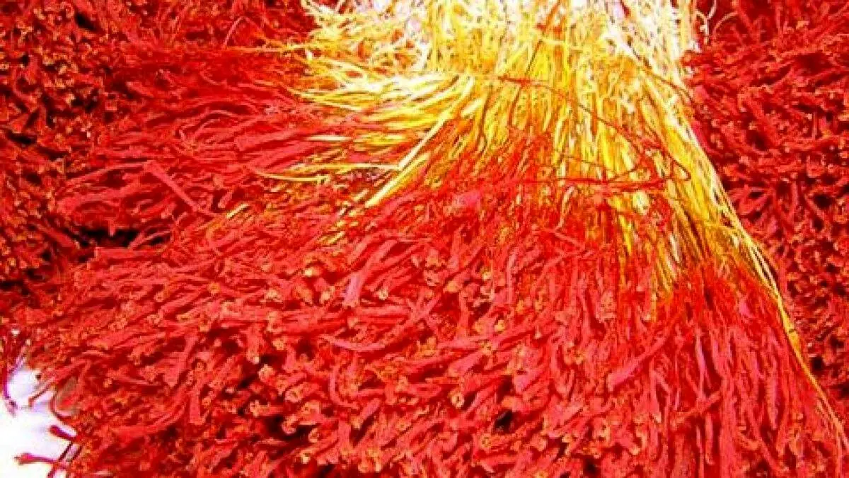 کشف ۴۸هزار بسته زعفران تقلبی + فیلم