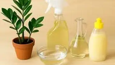  چرا براق کننده های خانگی؟