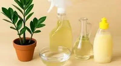  چرا براق کننده های خانگی؟