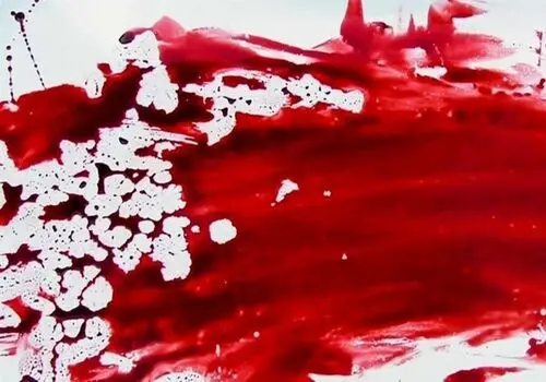 جزئیات اخاذی یک رمال از خواننده معروف در تهران