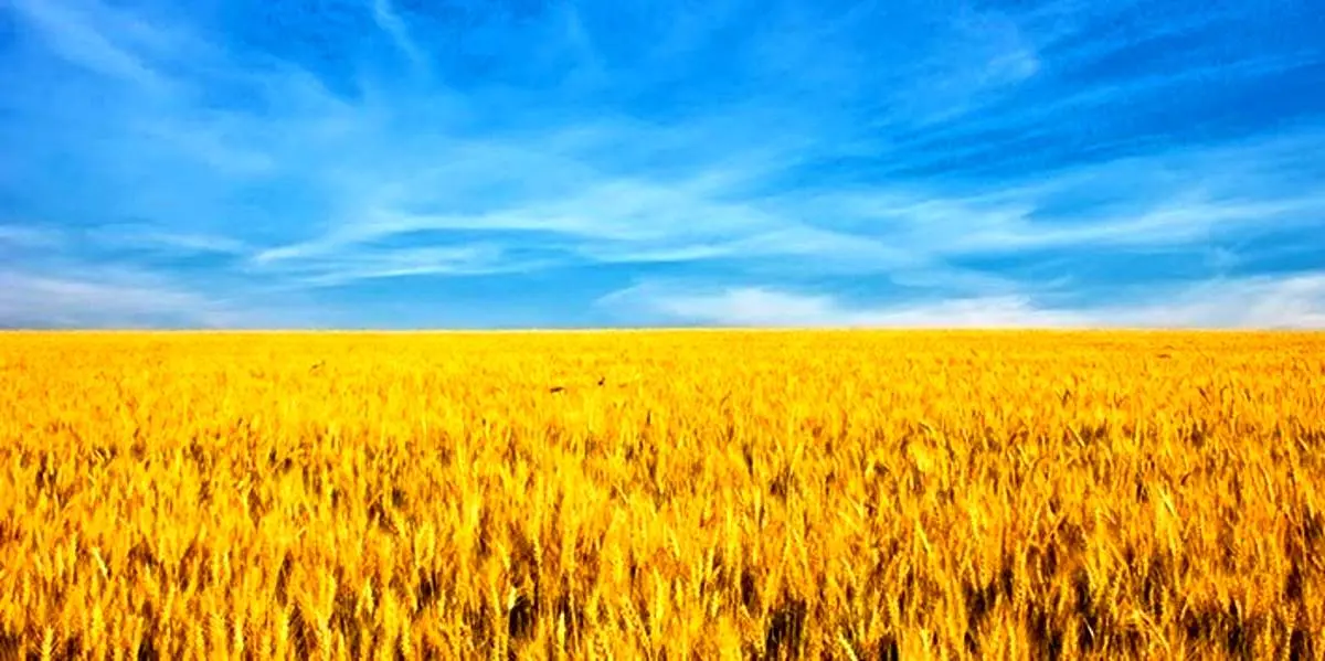 جنگ اوکراین چه بر سر قیمت مواد غذایی میآورد؟ فاجعه جهانی در راه است؟