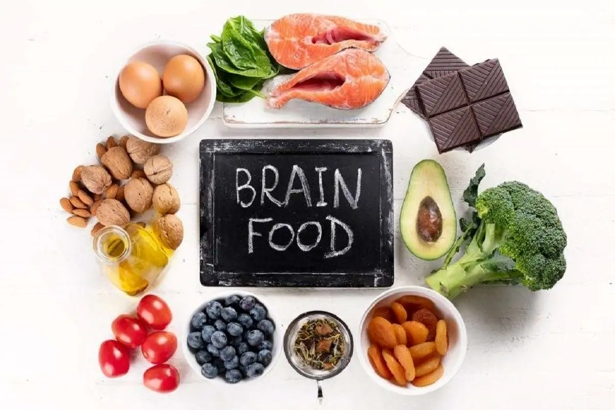 چه مواد غذایی برای مغز ما مفید است؟