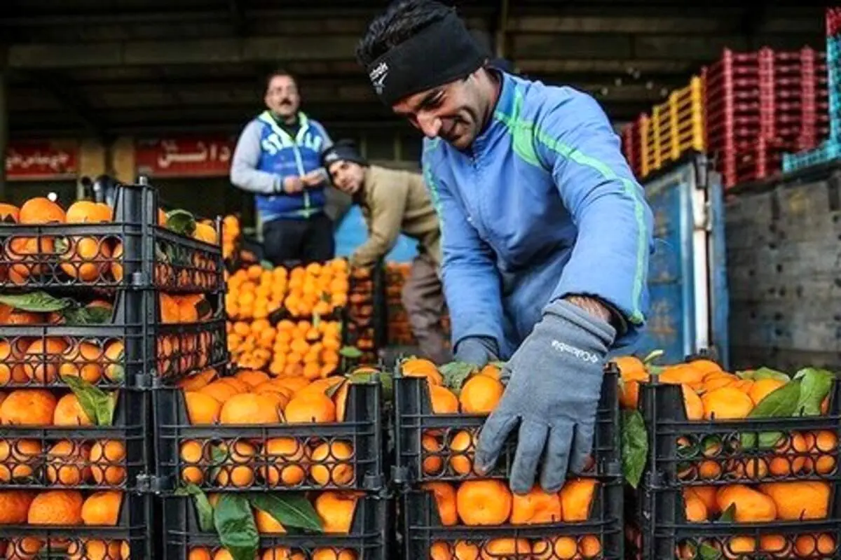قیمت میوههای تنظیم بازاری شب عید اعلام شد