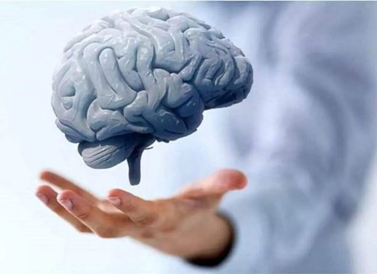  این ۴ عادت غذایی مغز شما را زودتر پیر می‌کند
