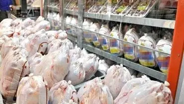مرغ گران شد | قیمت جدید مرغ در بازار