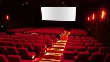 دستور ویژه رئیس سازمان سینمایی برای بررسی خشونت علیه سینماگران زن