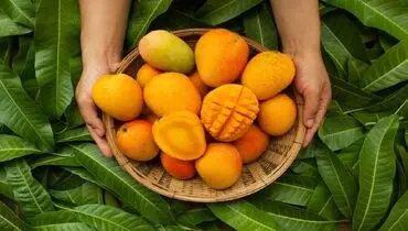 میوه‌هایی که بیشترین قند را دارند