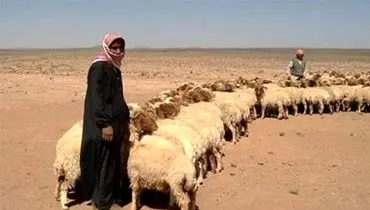 چوپان ربایی داعش ادامه دارد؛ ربایش ۲ شبان در جنوب موصل