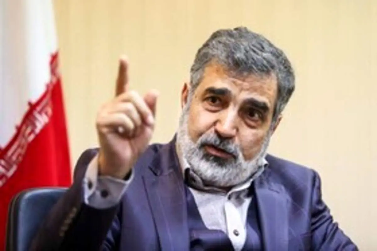 کمالوندی: ساخت نیروگاه هسته‌ای کار فانتزی نیست؛ ضرورت کشور است