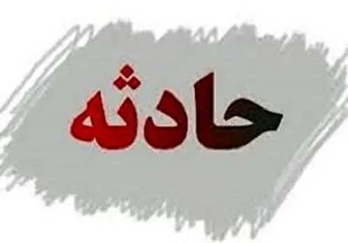 
دستگیری سارقان زورگیر میدان آزادی
