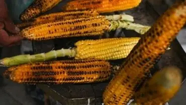  برای بهبود خلق و خو در فصل بهار چه بخوریم؟