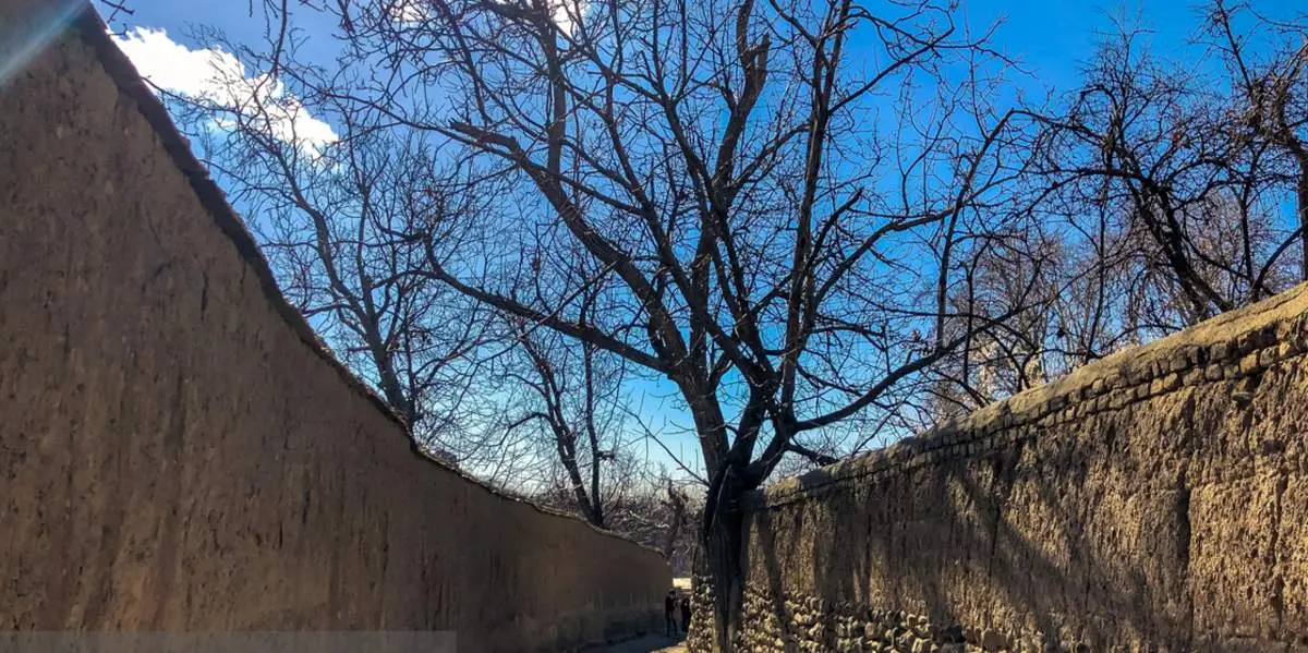 به روایت دوربین تلفن همراه