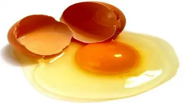 تولید سفیده تخم مرغ بدون نیاز به مرغ!