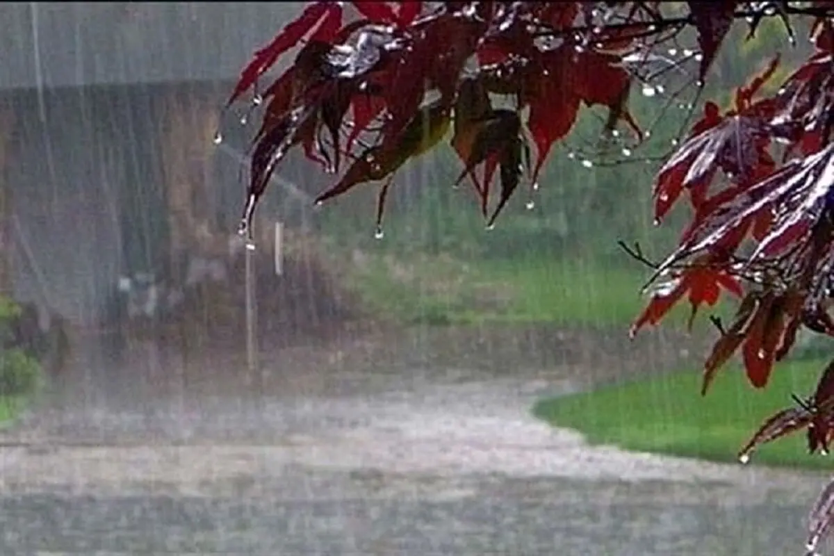 بارش باران و وزش باد شدید در برخی مناطق