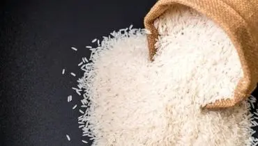 واردات ۱.۳ میلیارد دلاری برنج پرحاشیه