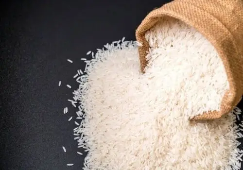 آخرین جزئیات واردات ۲۰ قلم کالای اساسی