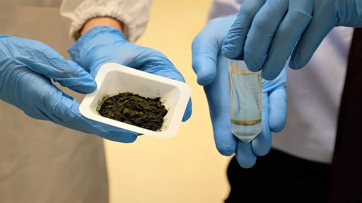 روغن جلبک جایگزین روغن پالم میشود