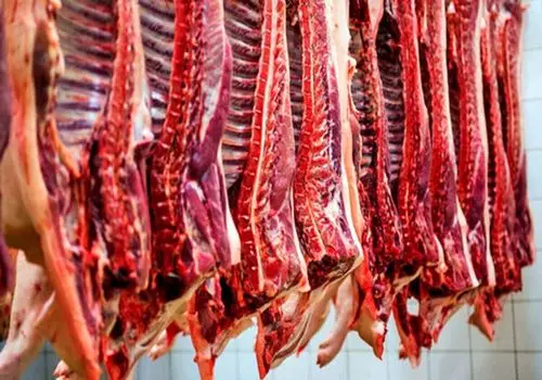 بروزترین قیمت گوشت در بازار امروز