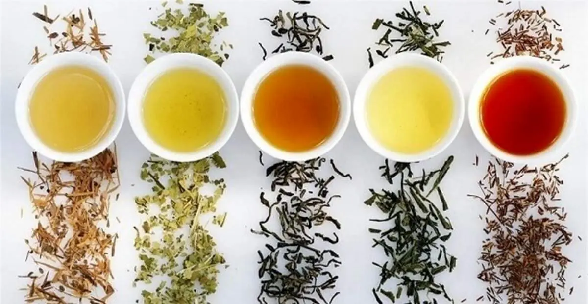 دمنوش‌های مفید برای گوارش روزه‎ داران + عکس