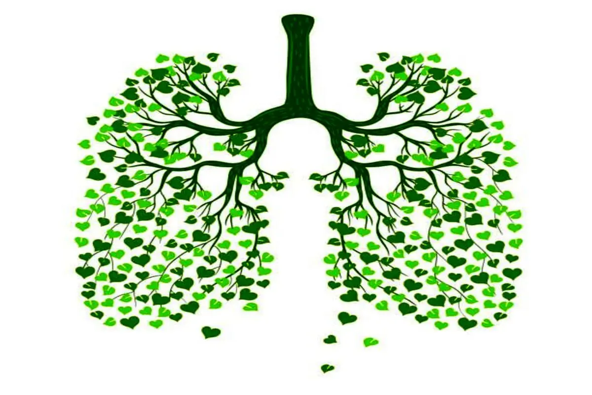 ۶ راهکار طبیعی برای پاکسازی ریه‌ها