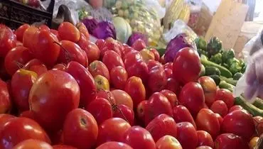 وعده ارزانی گوجه فرنگی از ماه آینده