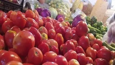 وعده ارزانی گوجه فرنگی از ماه آینده