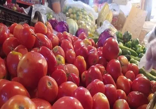 از این خواص فوق العاده آب گوجه غافل نشوید