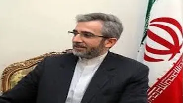 باقری‌کنی: سیاست خارجی و سیاست دفاعی هم‌افزا و مکمل یکدیگرند