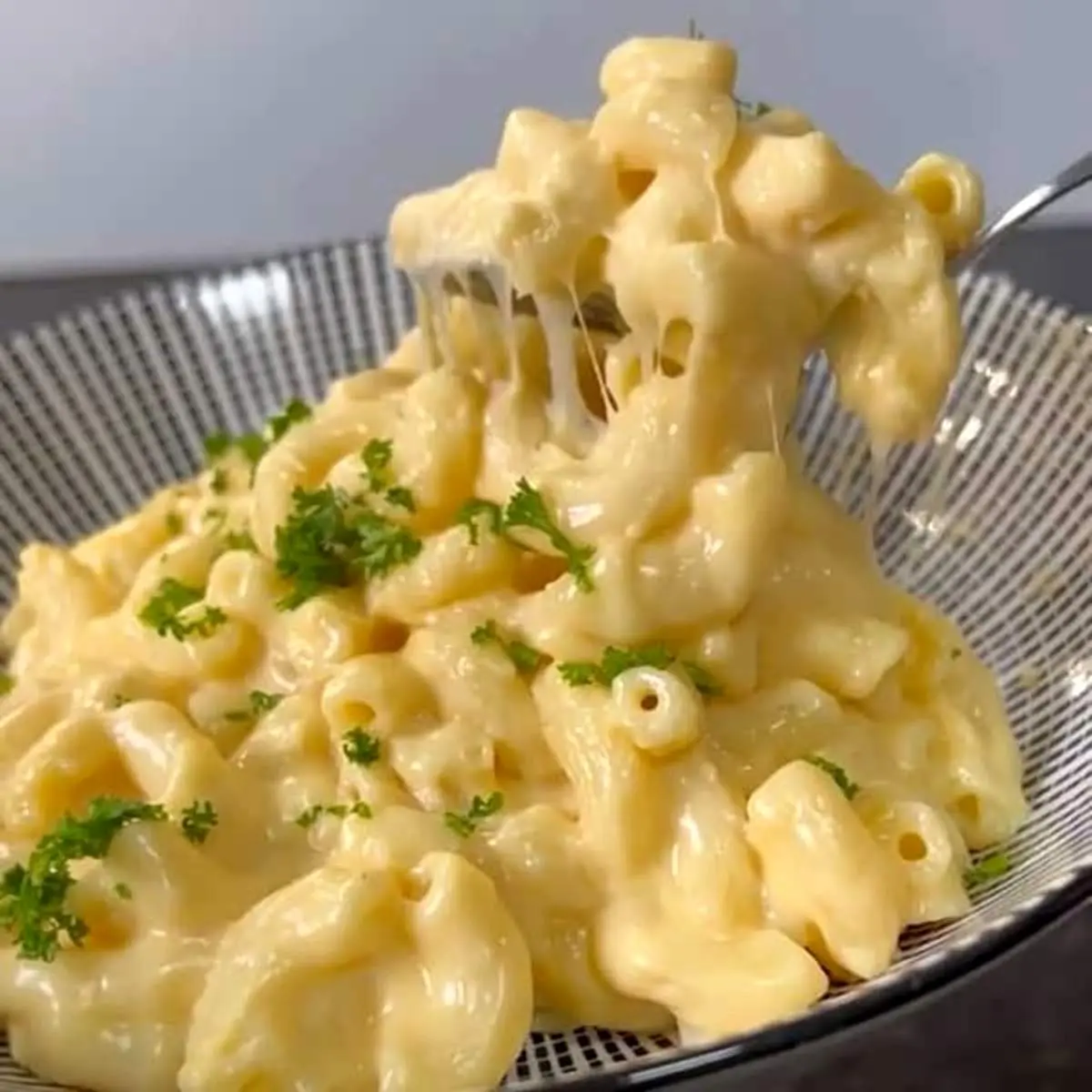 طرز تهیه پاستا با سس پنیر